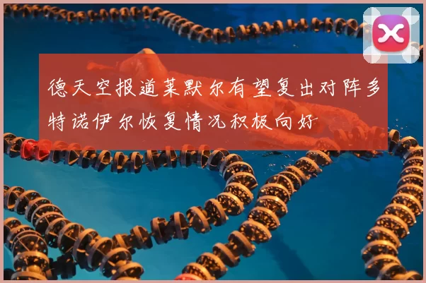 德天空报道莱默尔有望复出对阵多特诺伊尔恢复情况积极向好