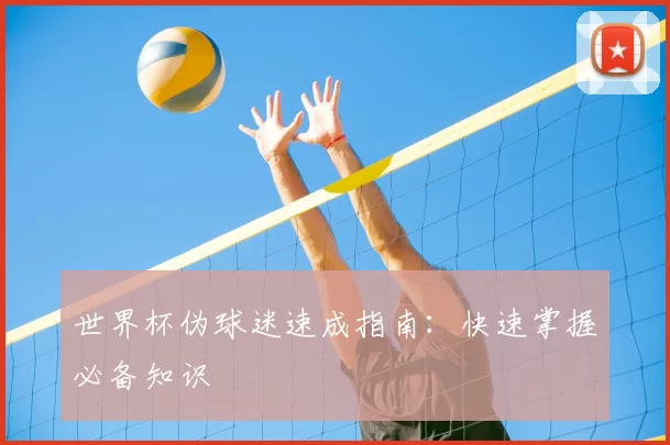 世界杯伪球迷速成指南:快速掌握必备知识