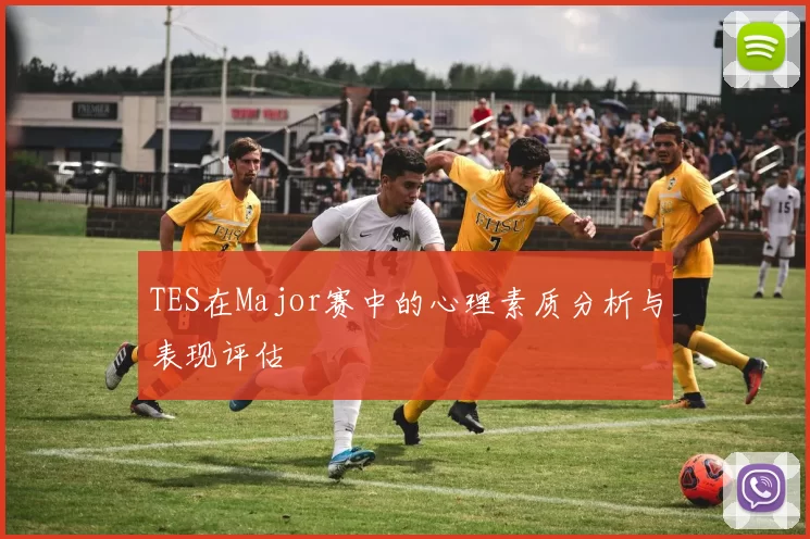 TES在Major赛中的心理素质分析与表现评估