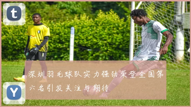深圳羽毛球队实力强劲荣登全国第六名引发关注与期待