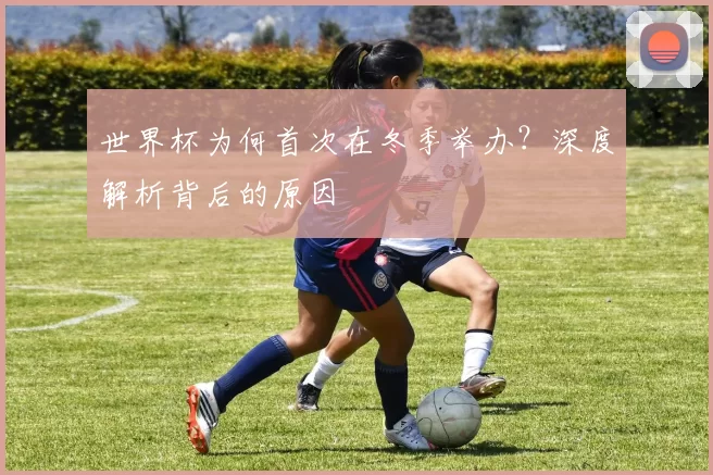 世界杯为何首次在冬季举办？深度解析背后的原因