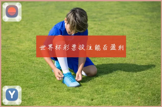 世界杯彩票投注能否盈利