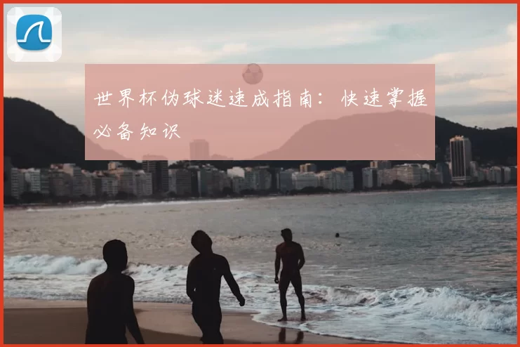 世界杯伪球迷速成指南:快速掌握必备知识
