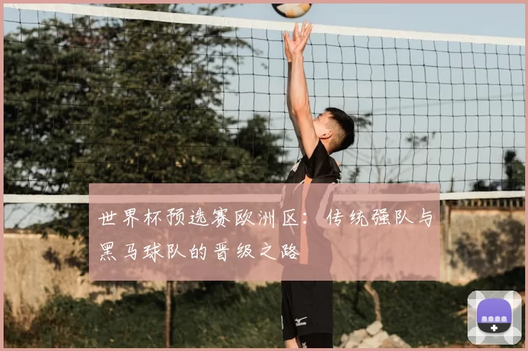 世界杯预选赛欧洲区：传统强队与黑马球队的晋级之路