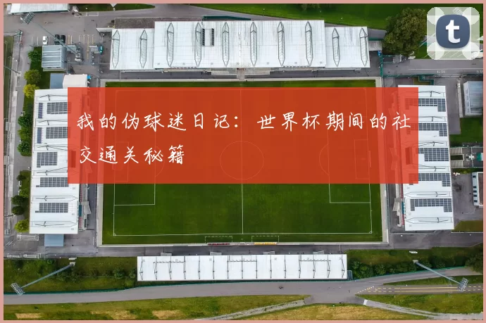 我的伪球迷日记:世界杯期间的社交通关秘籍