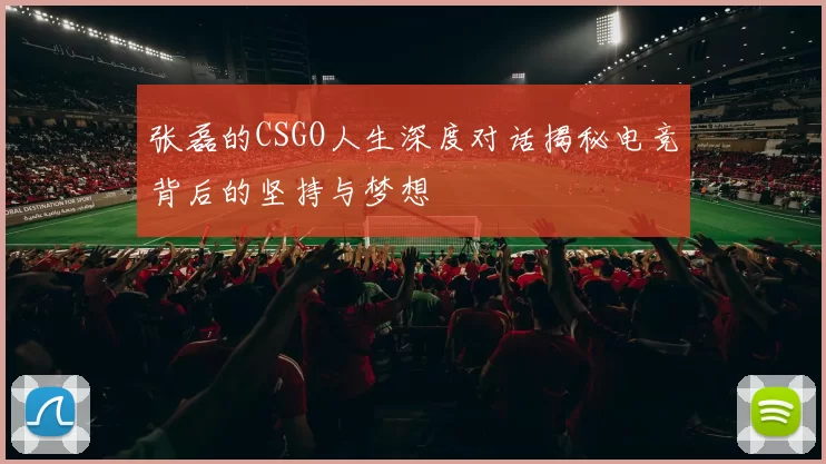 张磊的CSGO人生深度对话揭秘电竞背后的坚持与梦想