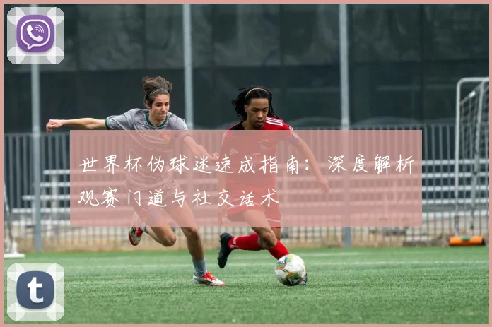 世界杯伪球迷速成指南:深度解析观赛门道与社交话术