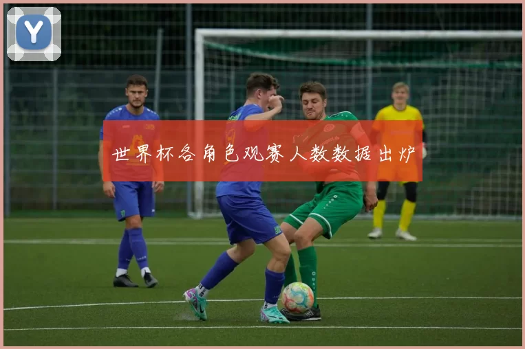 世界杯各角色观赛人数数据出炉