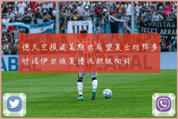 德天空报道莱默尔有望复出对阵多特诺伊尔恢复情况积极向好