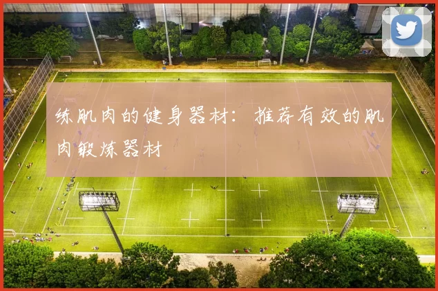 练肌肉的健身器材:推荐有效的肌肉锻炼器材