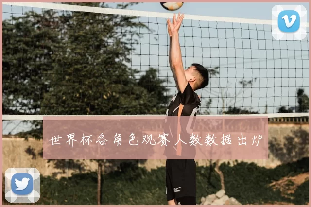 世界杯各角色观赛人数数据出炉