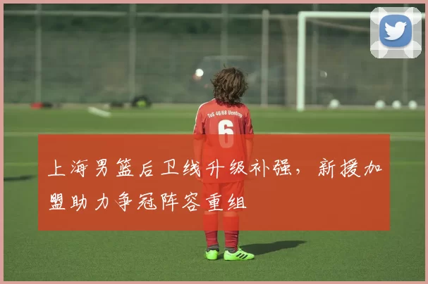 上海男篮后卫线升级补强，新援加盟助力争冠阵容重组